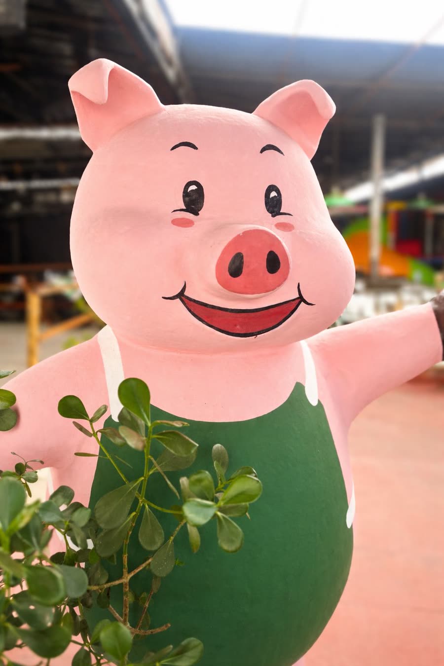 Sábado de show ao vivo